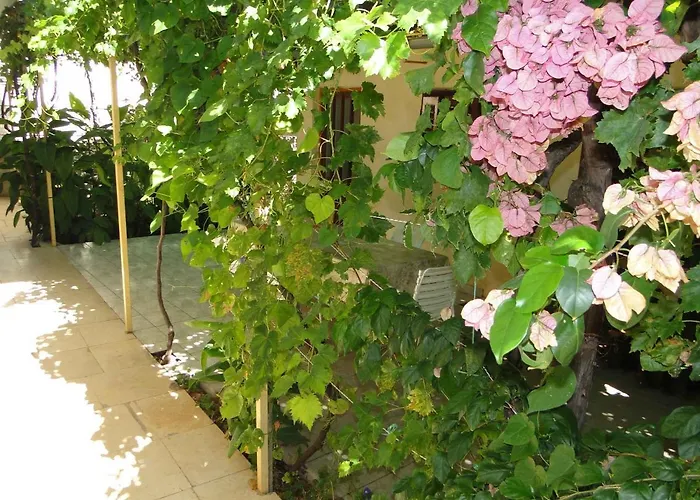 Apartman In - Sibenik Riviera 35152 Primosten